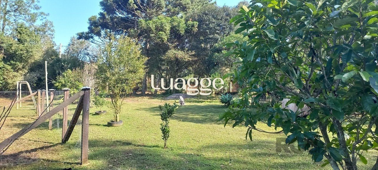 Sítio à venda com 3 quartos, 6735m² - Foto 6
