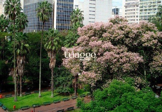 Conjunto Comercial-Sala à venda, 256m² - Foto 2