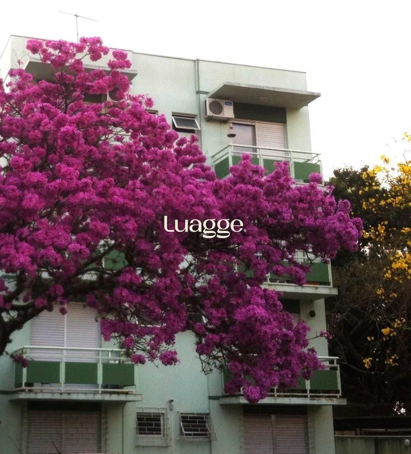 Apartamento, 1 quarto, à venda, 47 m², Tristeza - Porto Alegre — foto 4