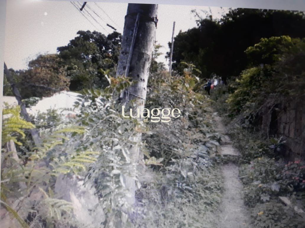 Terreno, 486 m² - Foto 1