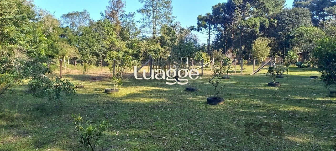 Sítio à venda com 3 quartos, 6735m² - Foto 5
