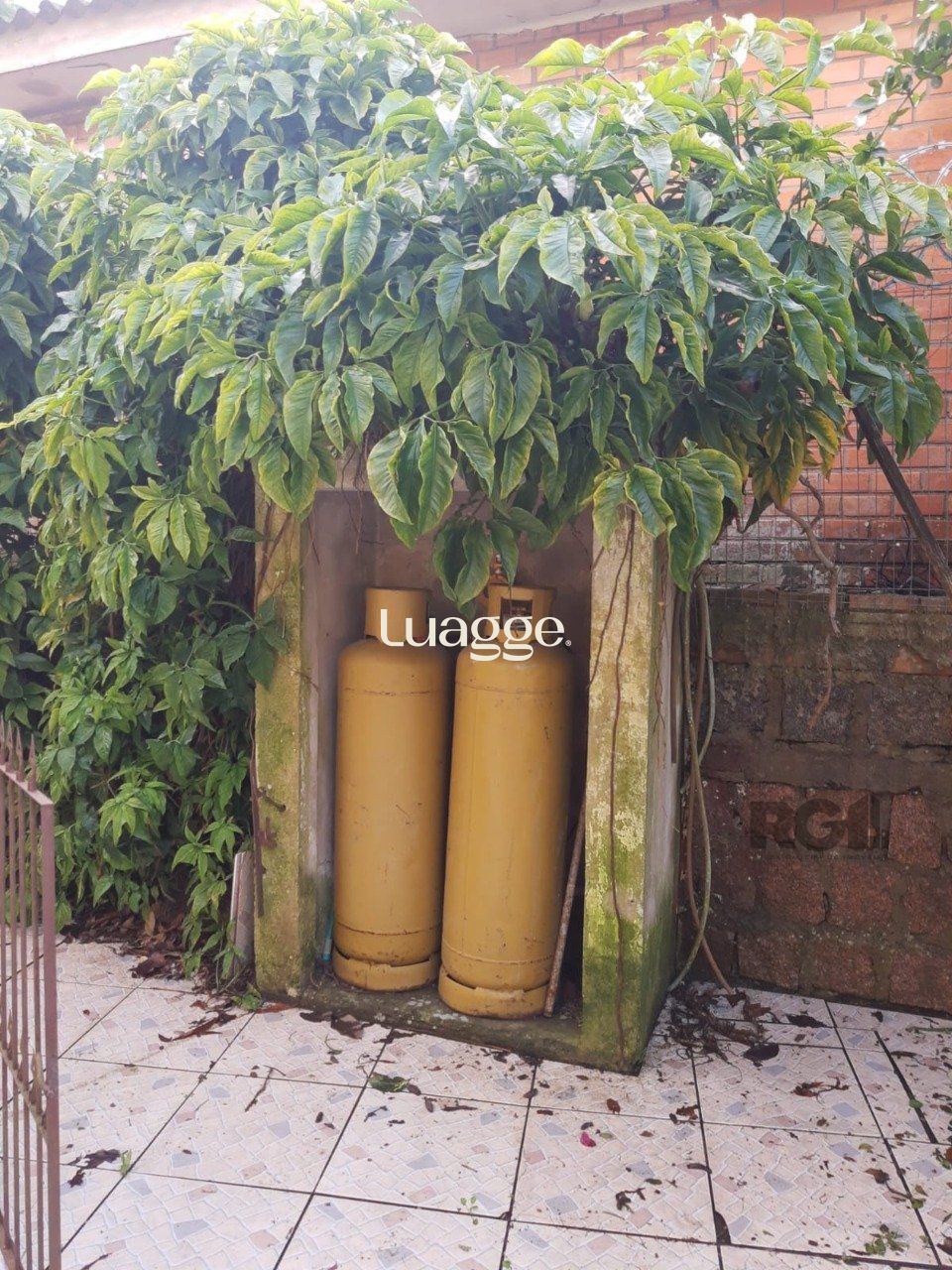 Chácara, 4 quartos - Foto 26