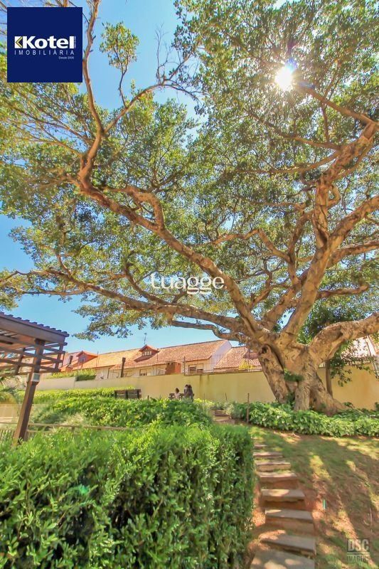 Apartamento à venda com 3 quartos, 106m² - Foto 12