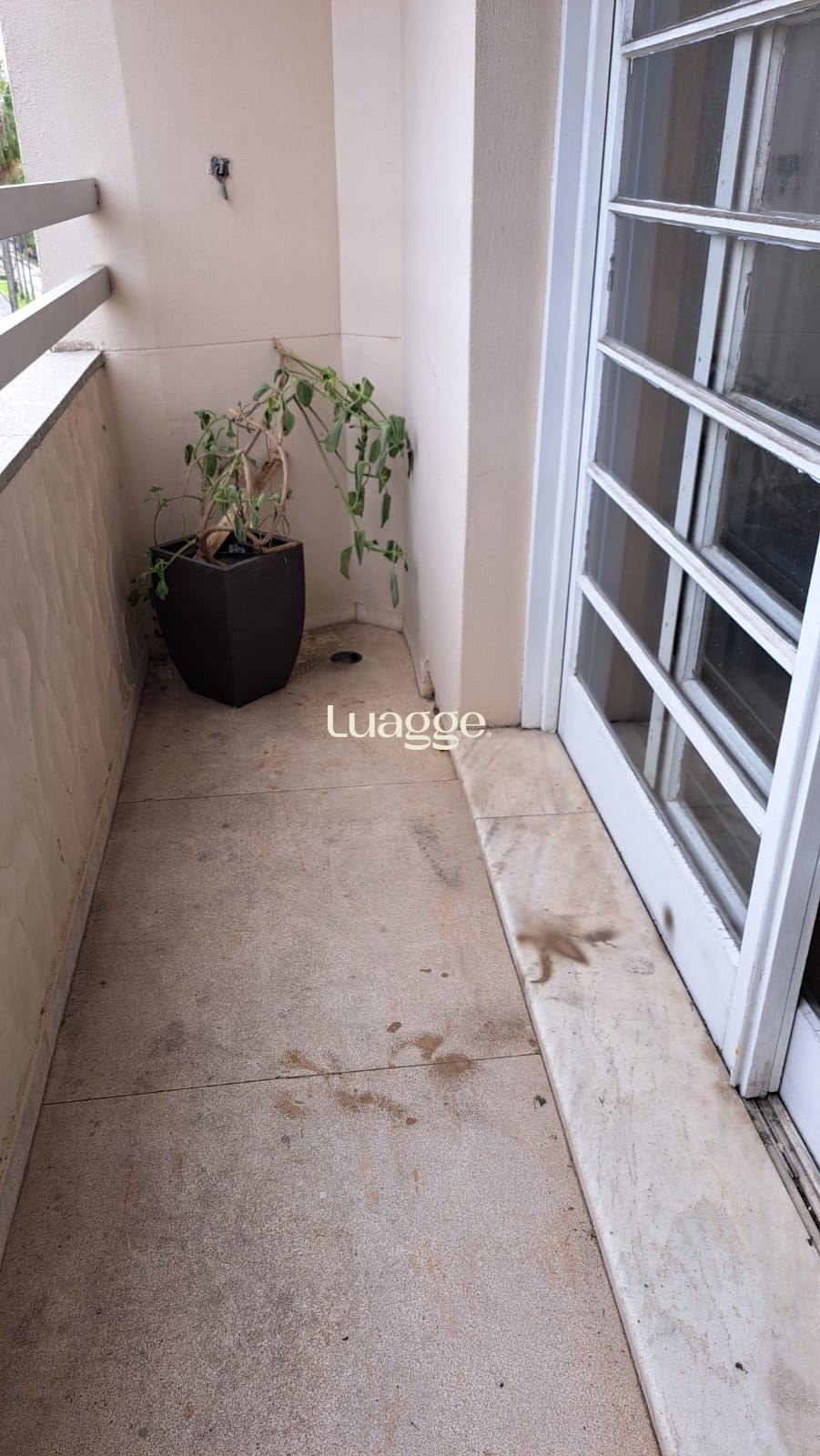 Apartamento, 3 quartos, 114 m² - Foto 17