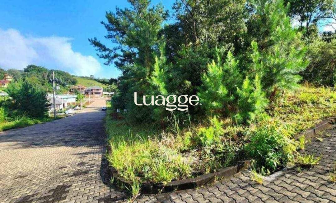 Terreno à venda, 452m² - Foto 2