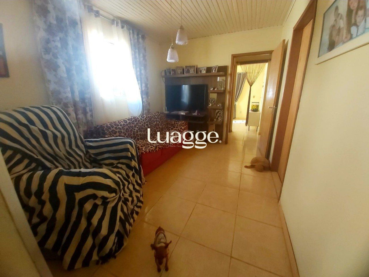 Casa à venda com 5 quartos, 74m² - Foto 14