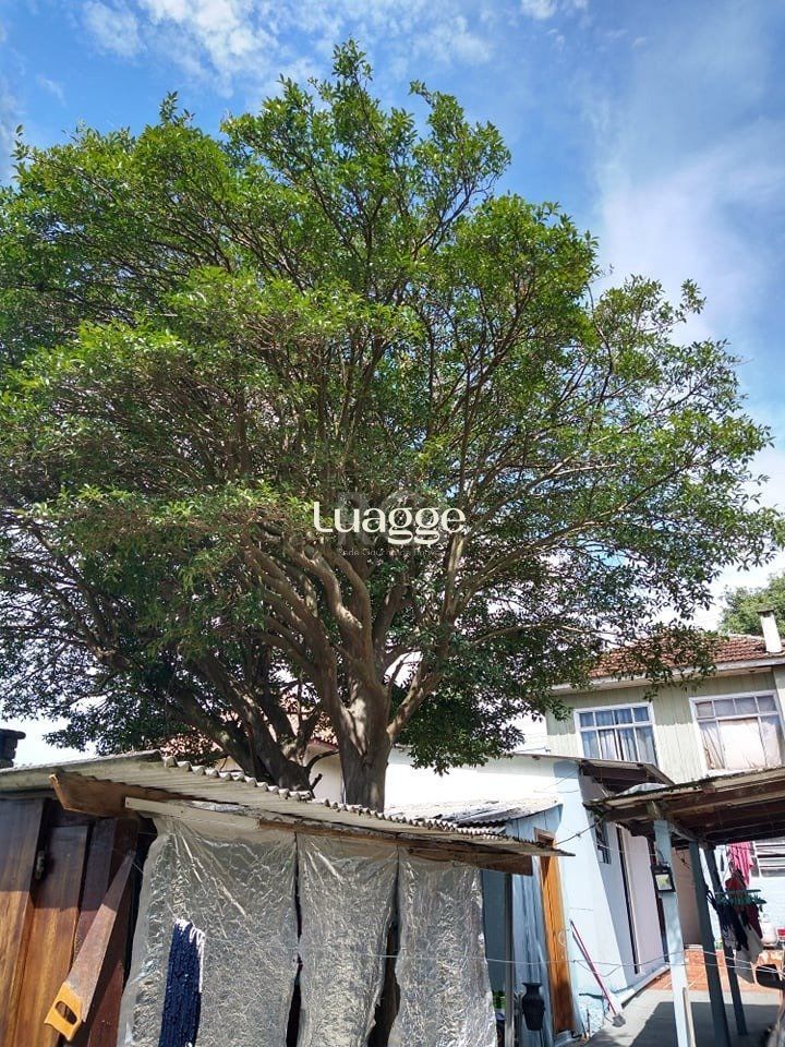 Casa à venda com 3 quartos, 59m² - Foto 21
