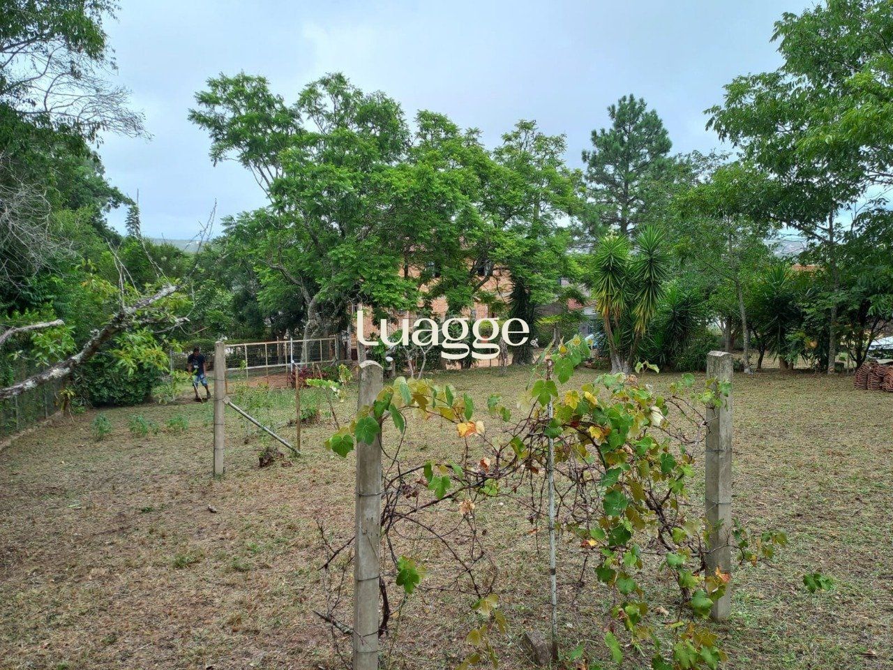 Terreno, 550 m² - Foto 8