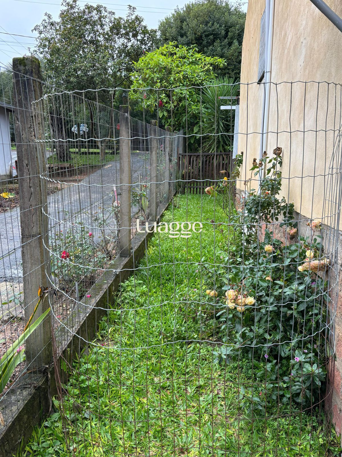 Sítio à venda com 4 quartos, 72m² - Foto 24