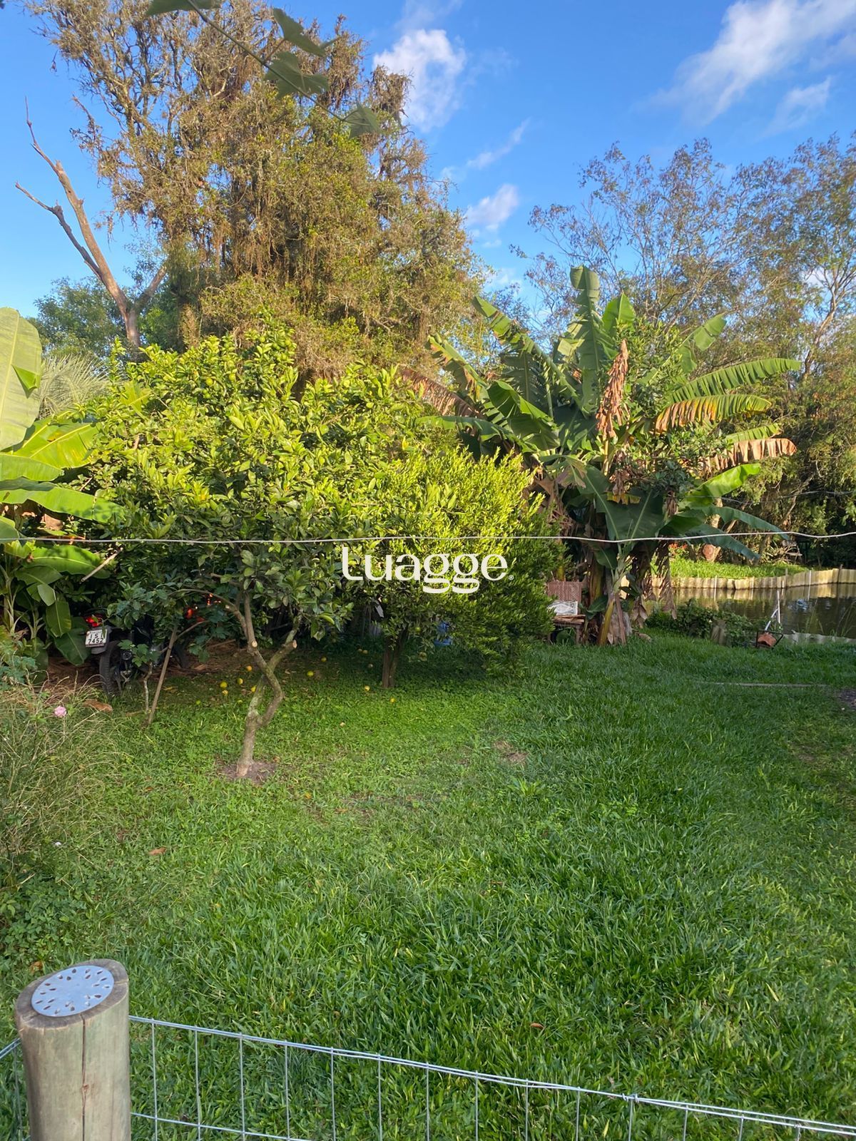 Sítio à venda com 4 quartos, 72m² - Foto 23