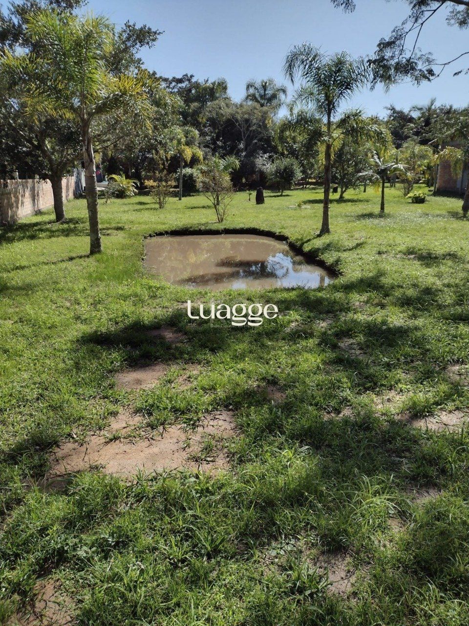 Sítio à venda com 3 quartos, 256m² - Foto 58