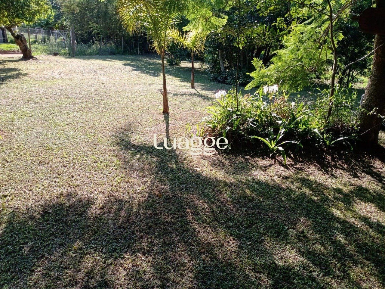 Sítio, 1 quarto, 6751 m² - Foto 6