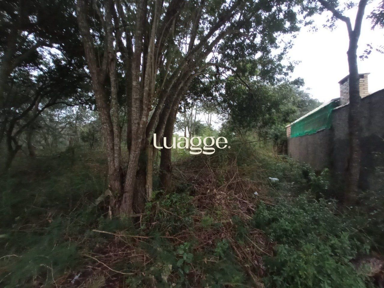 Terreno, 2161 m² - Foto 2