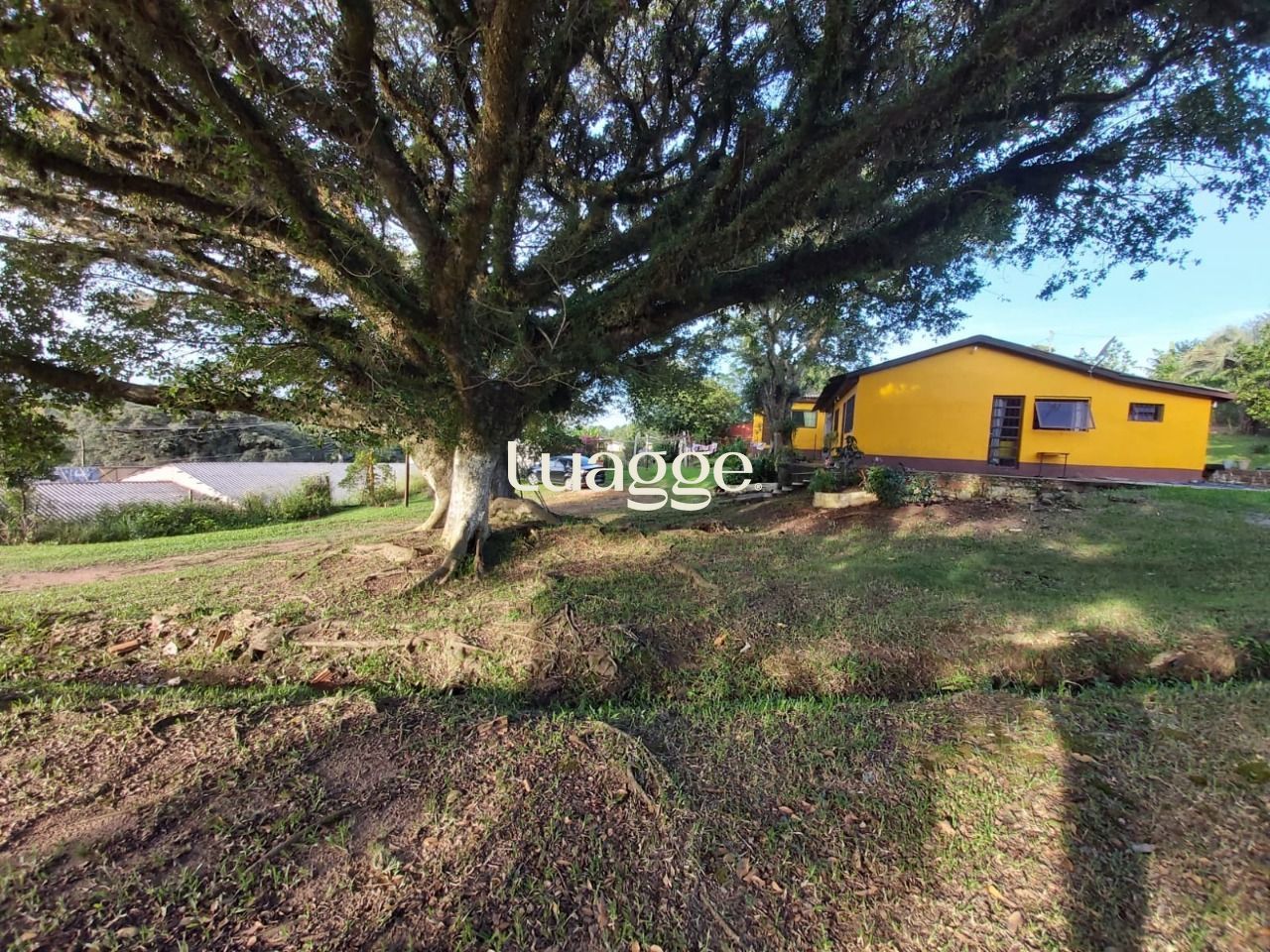 Sítio à venda com 2 quartos, 7847m² - Foto 18