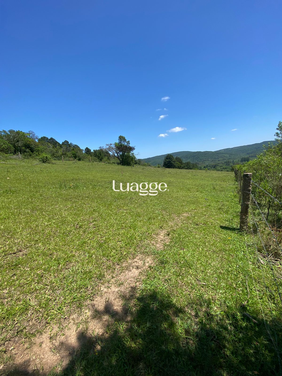 Depósito-Galpão-Armazém à venda, 401m² - Foto 1