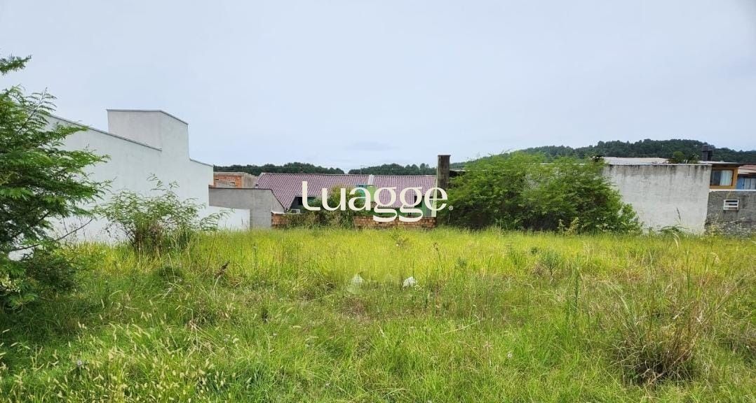 Terreno, 150 m² - Foto 3