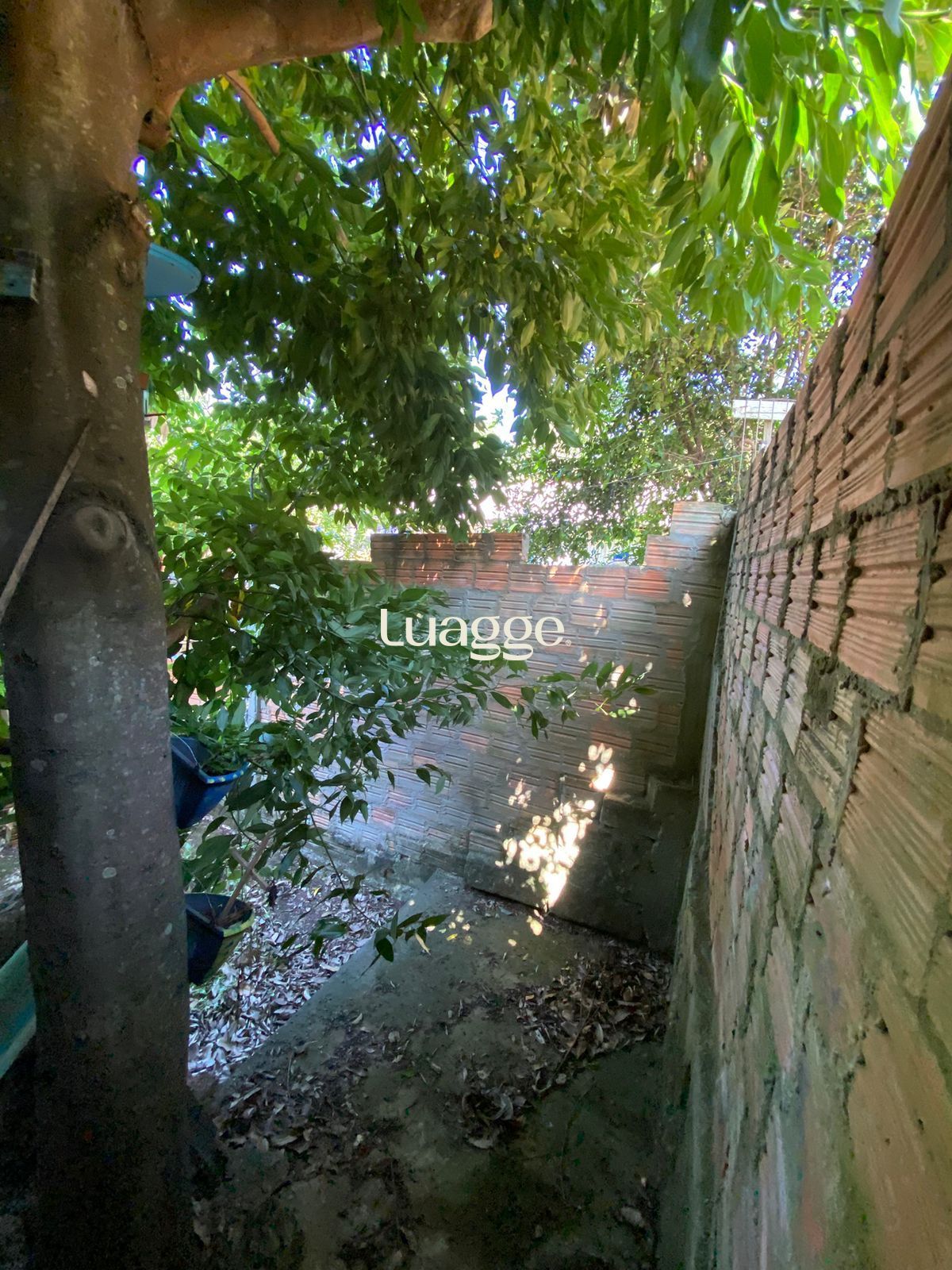 Casa à venda com 2 quartos, 66m² - Foto 10