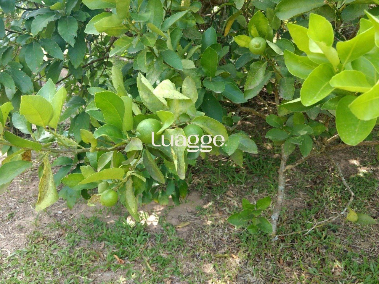 Sítio, 1 quarto, 6751 m² - Foto 16