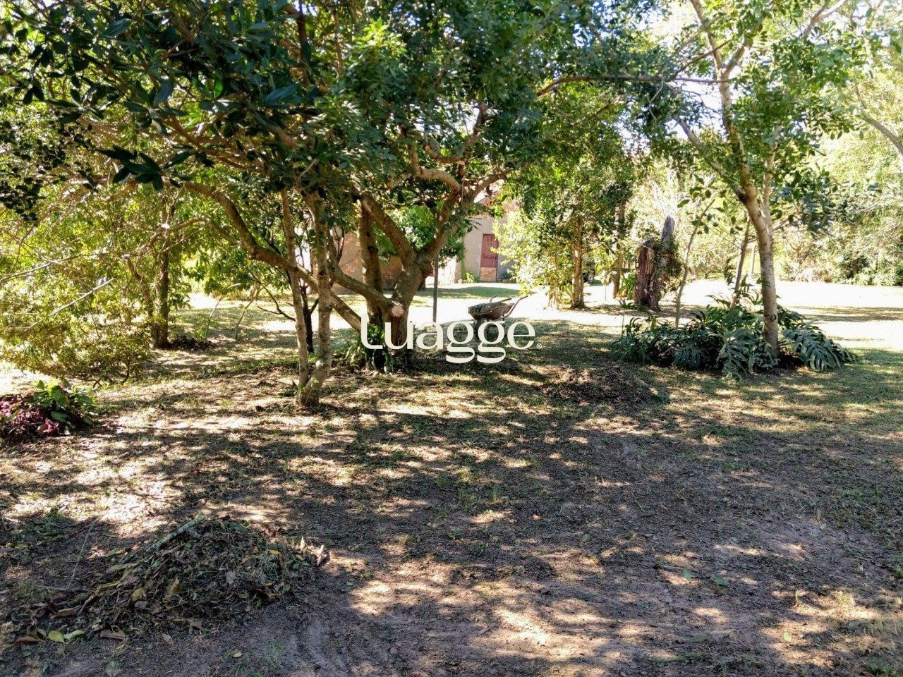 Sítio, 1 quarto, 6751 m² - Foto 12