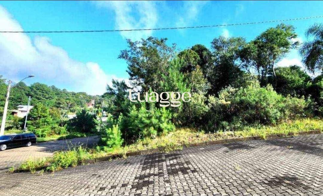 Terreno à venda, 452m² - Foto 1