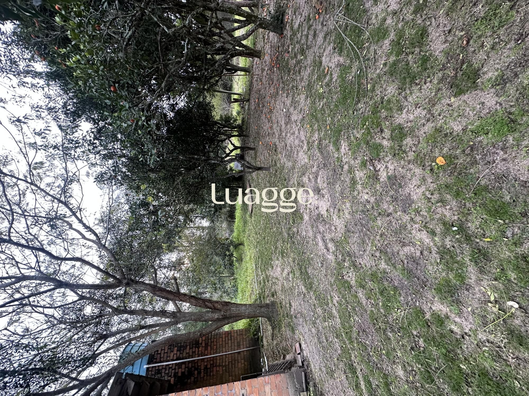 Chácara à venda com 2 quartos, 70m² - Foto 7