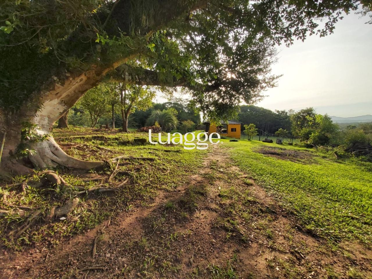 Sítio à venda com 2 quartos, 7847m² - Foto 16