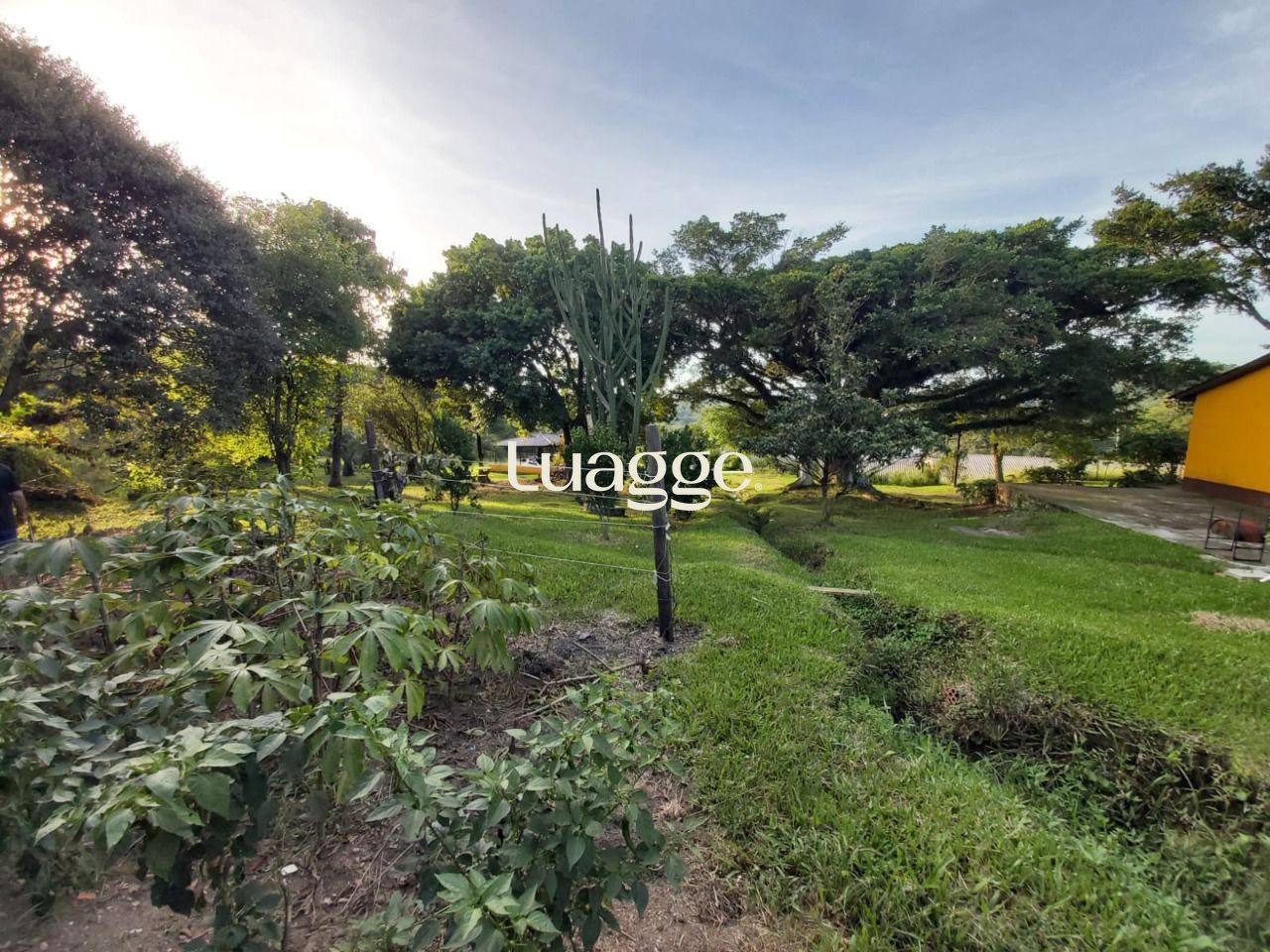Sítio à venda com 2 quartos, 7847m² - Foto 13