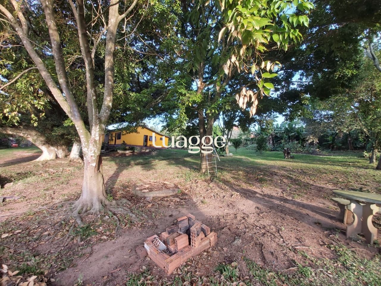 Sítio à venda com 2 quartos, 7847m² - Foto 9