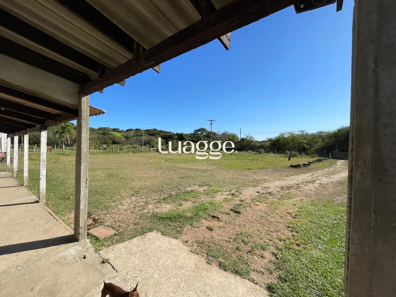 Sítio à venda com 4 quartos, 102m² - Foto 18