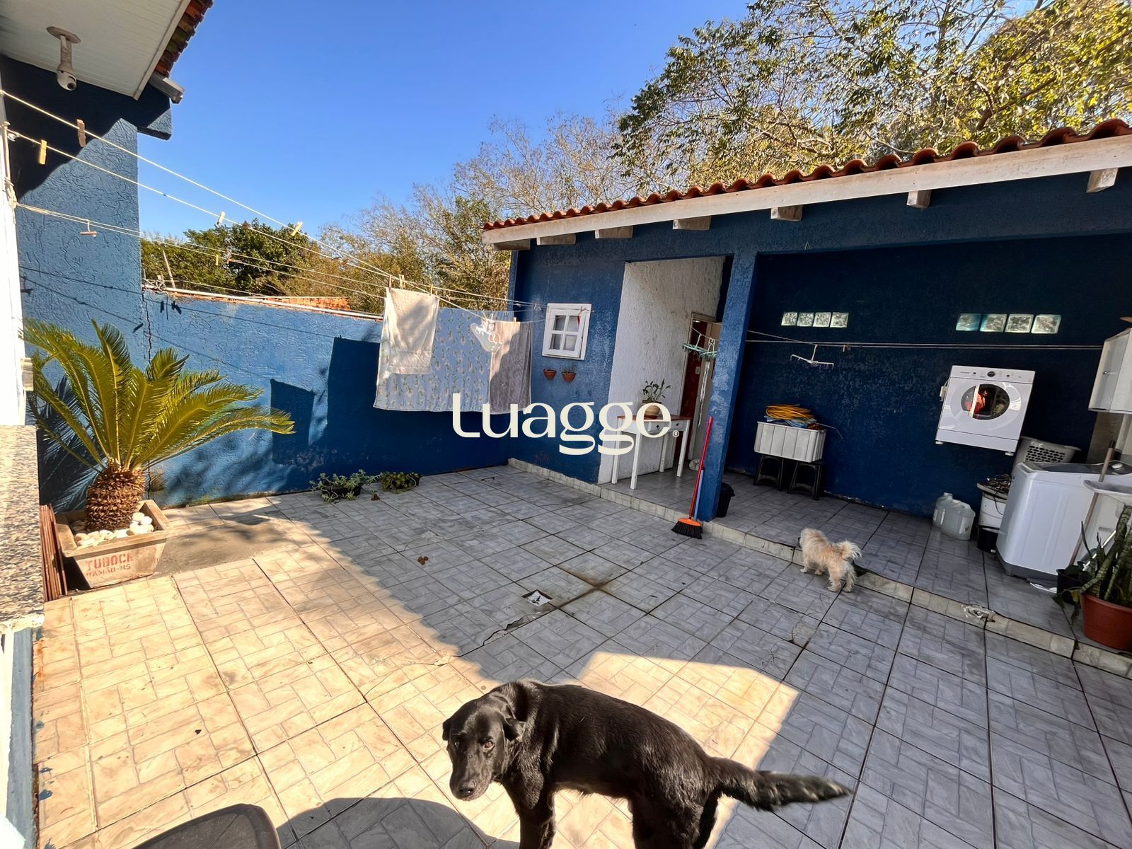 Casa à venda com 3 quartos, 52m² - Foto 15
