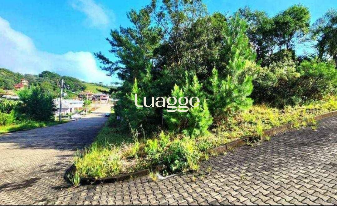 Terreno à venda, 452m² - Foto 3