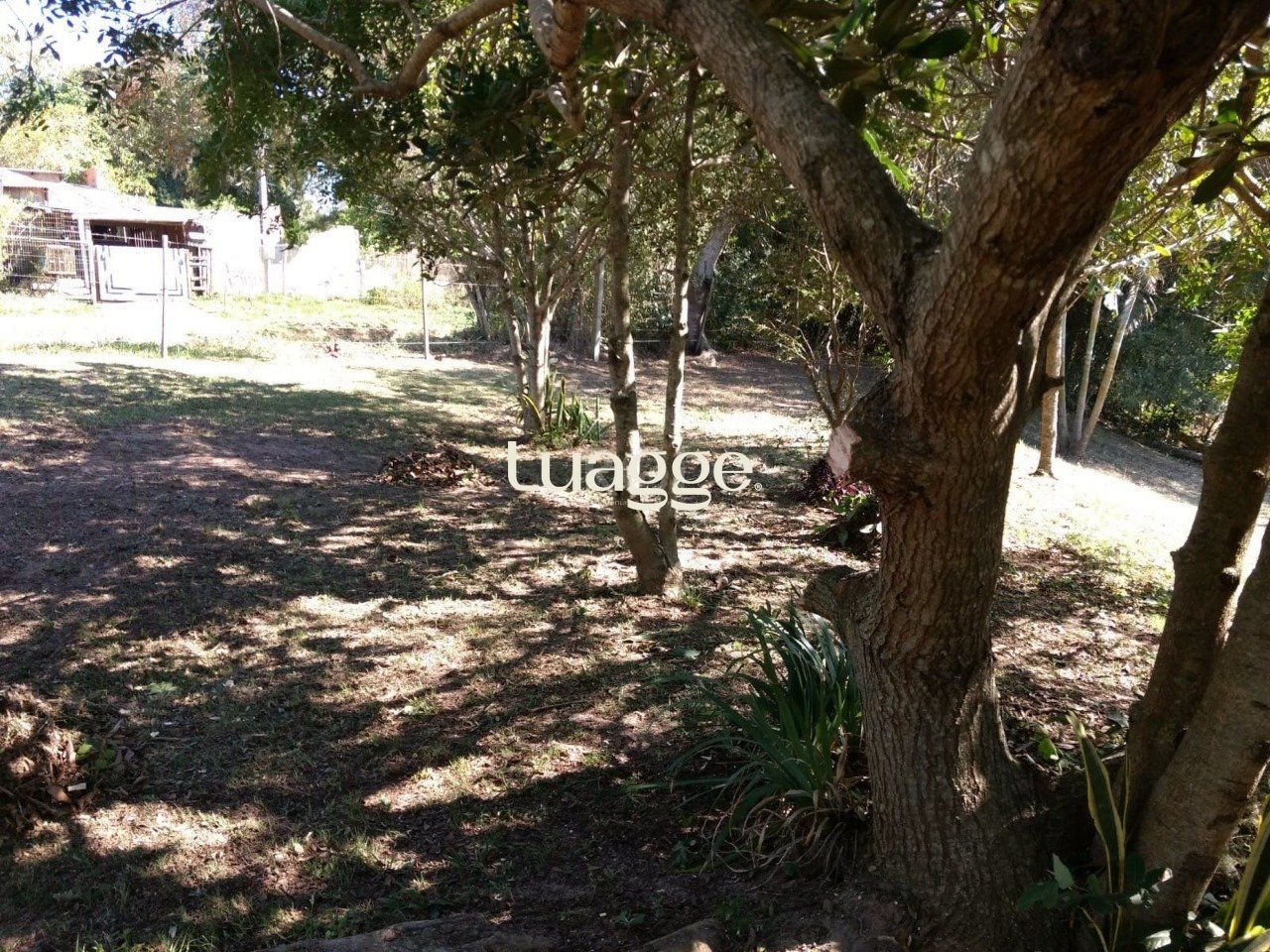 Sítio, 1 quarto, 6751 m² - Foto 10