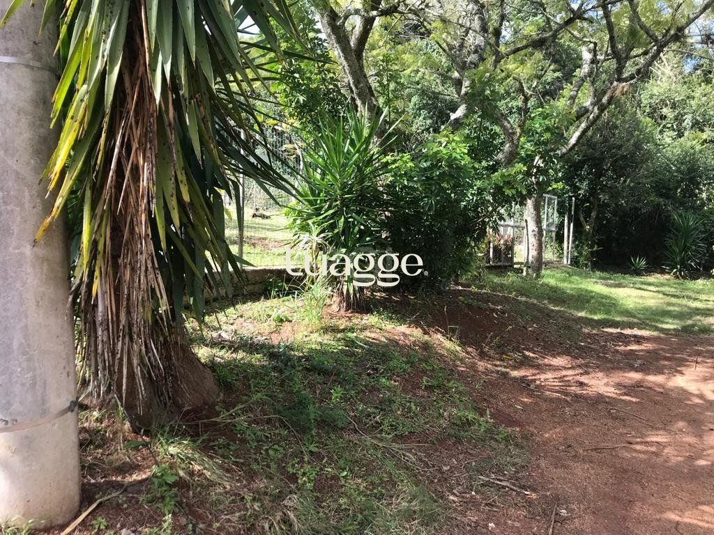 Terreno, 550 m² - Foto 15