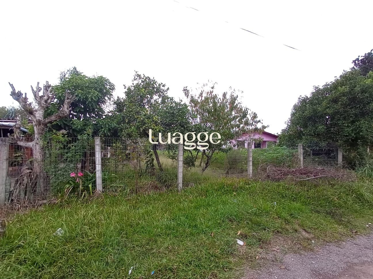 Casa, 2 quartos, à venda, 100 m², Lami - Porto Alegre — foto 2
