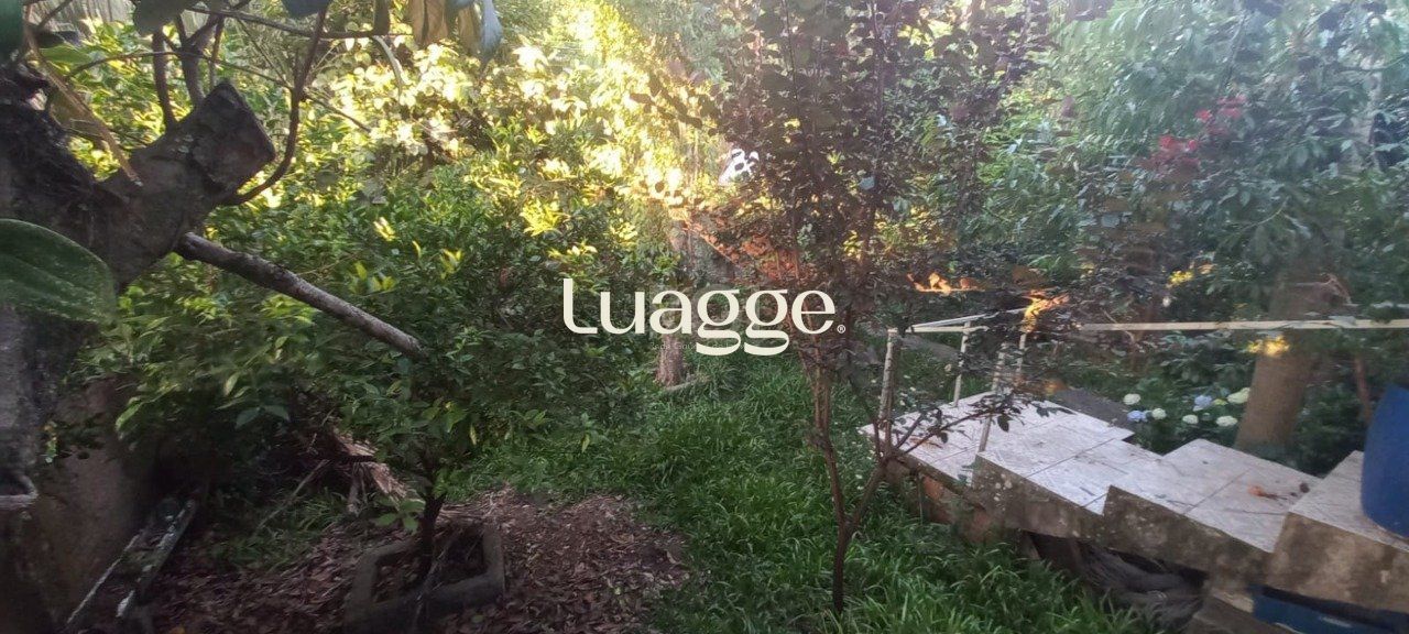 Casa à venda com 4 quartos, 160m² - Foto 18