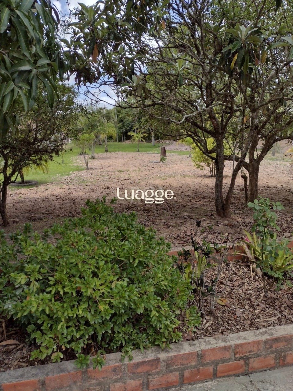 Sítio à venda com 3 quartos, 256m² - Foto 56