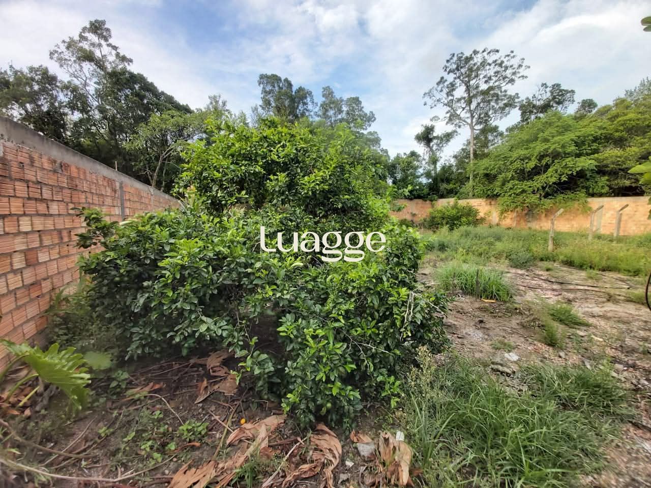 Terreno, à venda, Restinga - Porto Alegre — foto 2