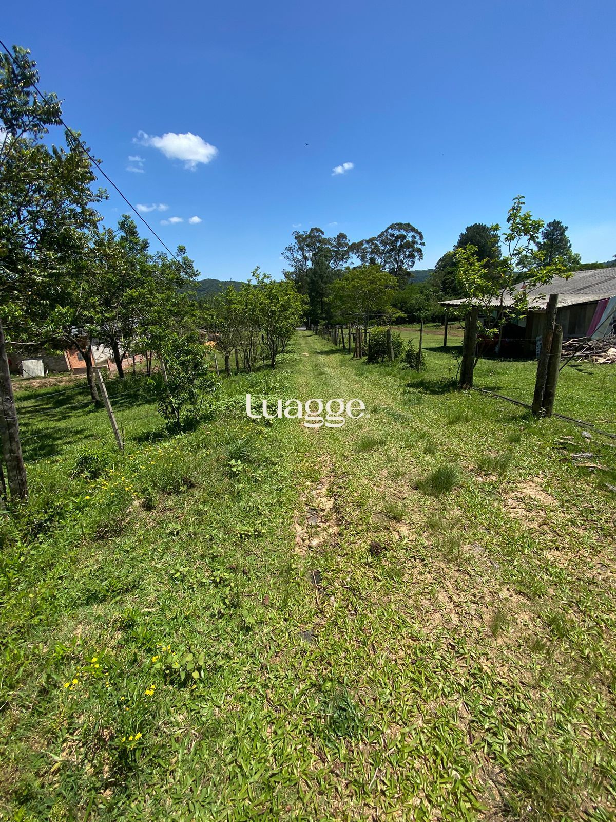 Depósito-Galpão-Armazém à venda, 401m² - Foto 3