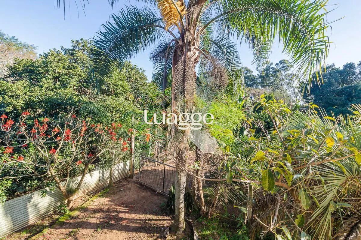 Sítio, 2 quartos, 136 m² - Foto 3