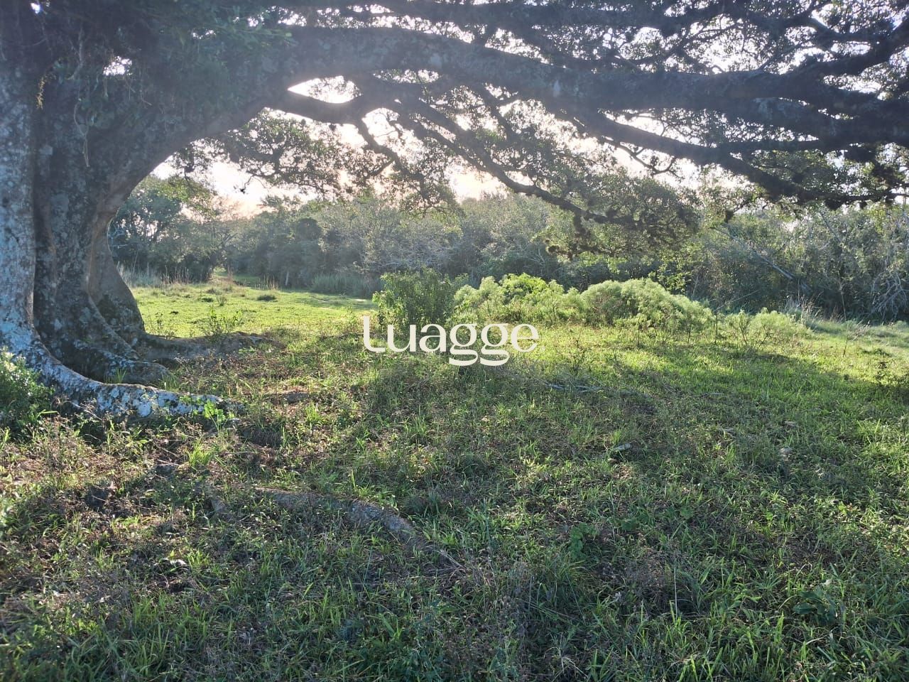 Depósito-Galpão-Armazém à venda, 2m² - Foto 5
