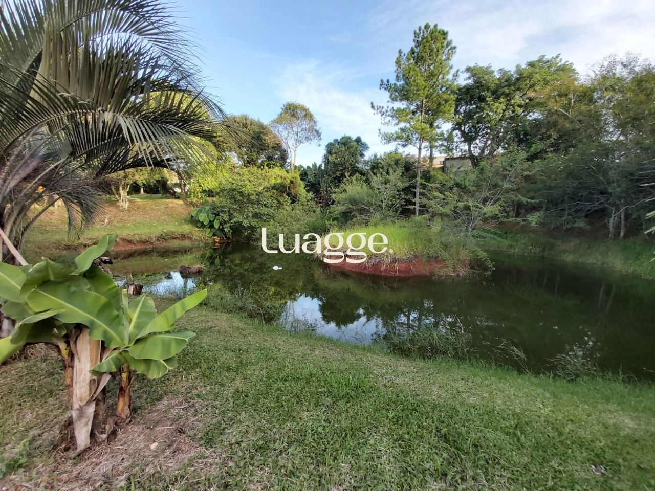 Sítio à venda com 2 quartos, 7847m² - Foto 6