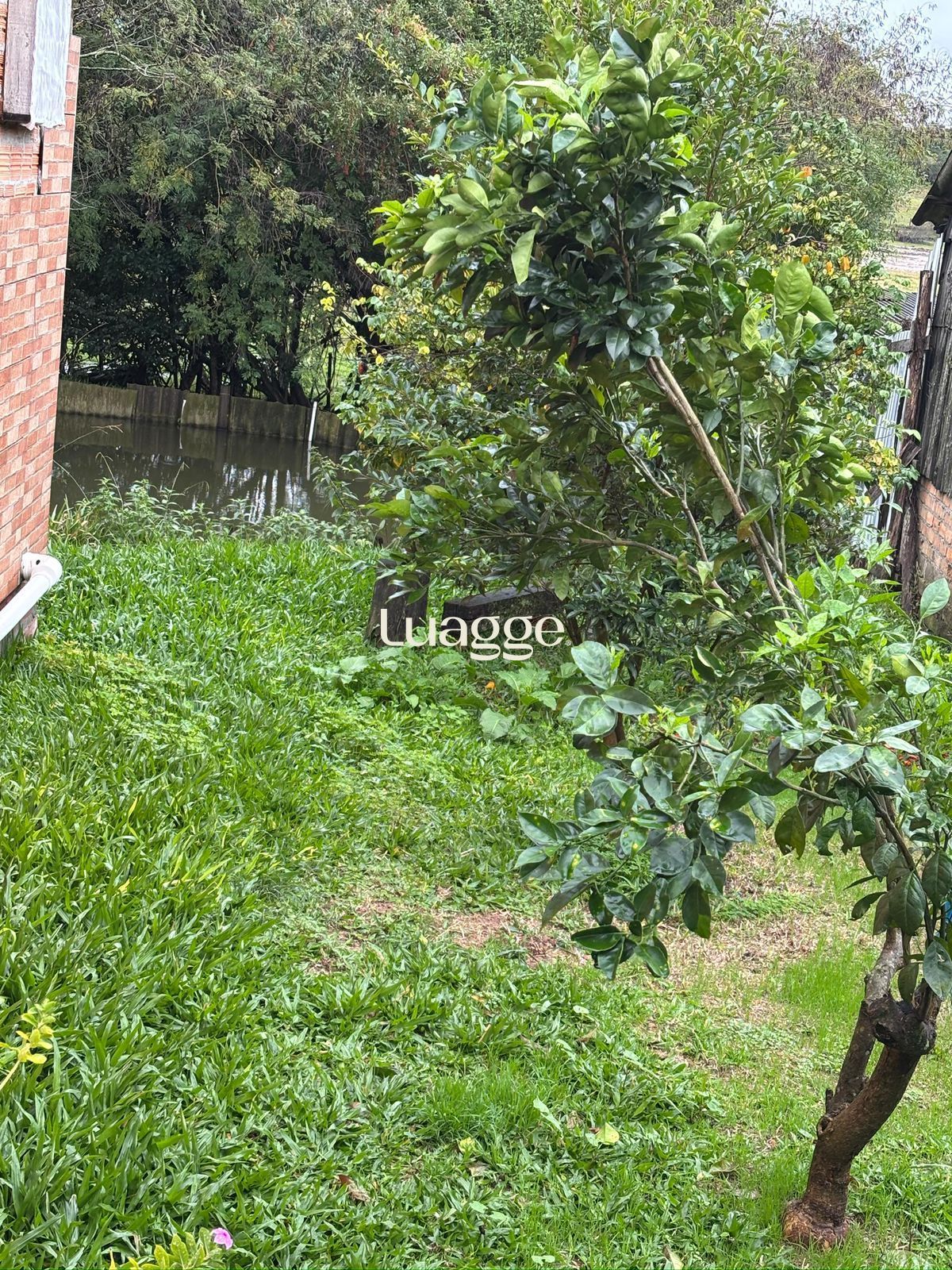 Sítio à venda com 4 quartos, 72m² - Foto 22