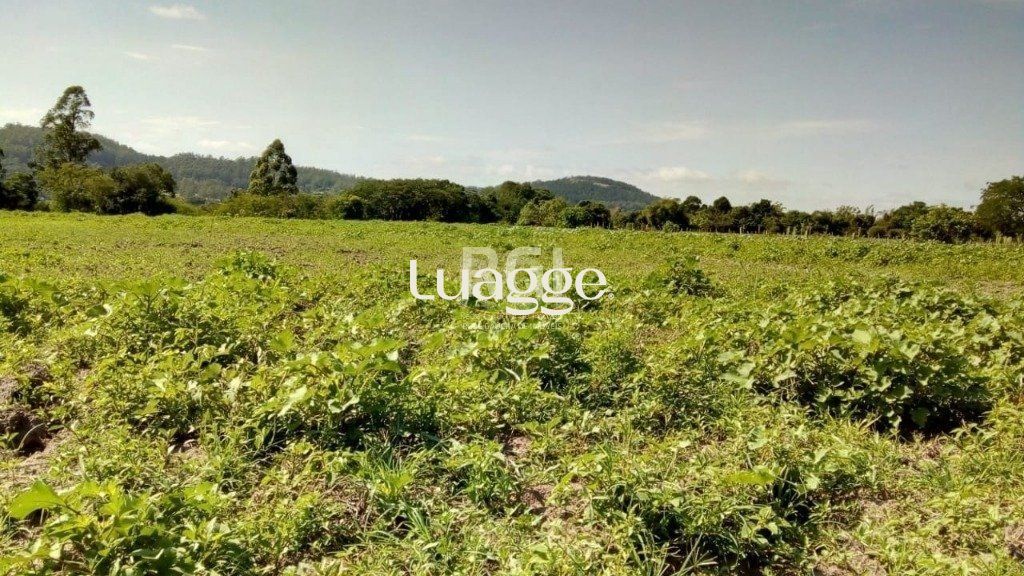 Terreno à venda, 20062m² - Foto 6