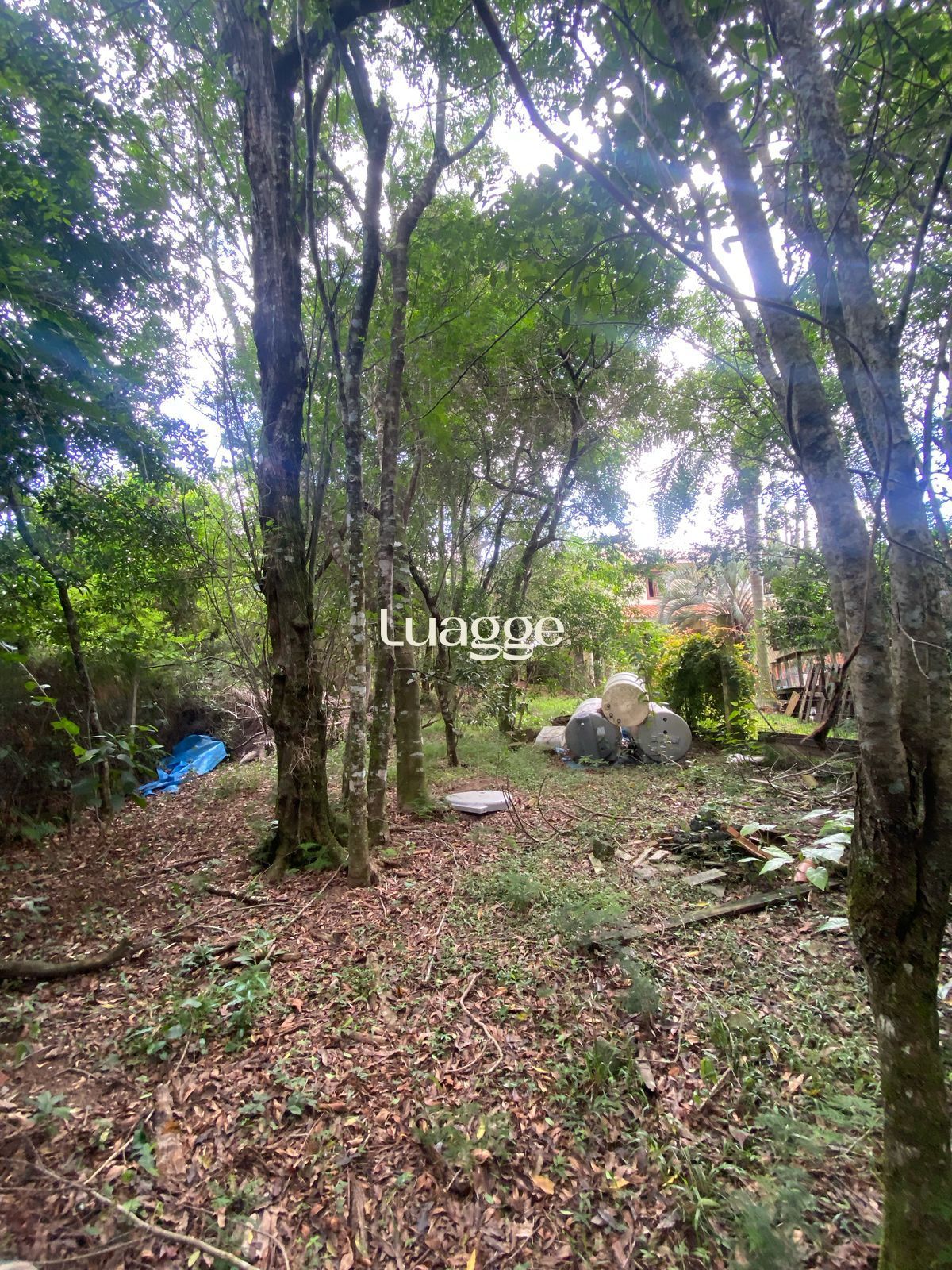 Terreno à venda, 334m² - Foto 2