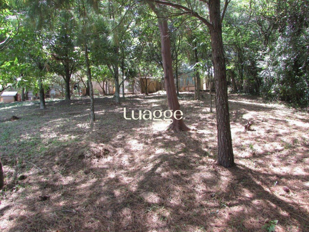 Sítio à venda com 2 quartos, 79m² - Foto 11