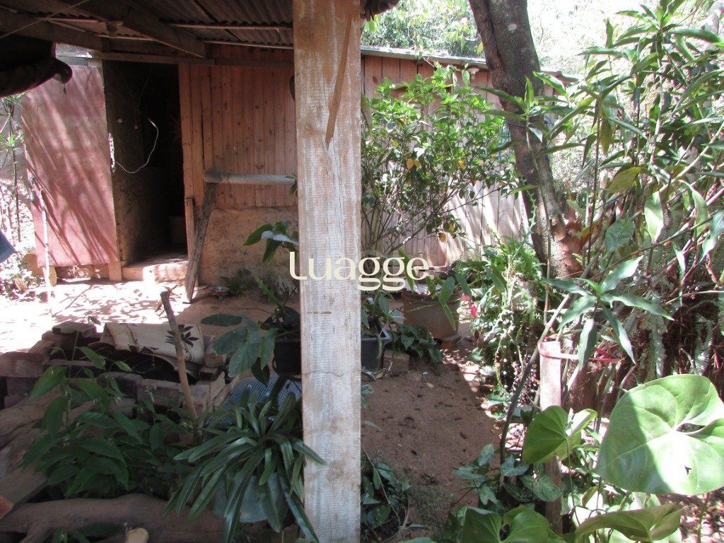 Sítio à venda com 2 quartos, 79m² - Foto 2
