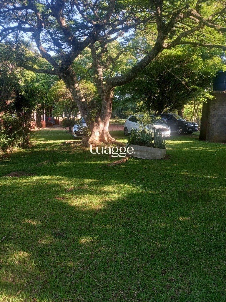 Sítio à venda com 6 quartos, 48999m² - Foto 4