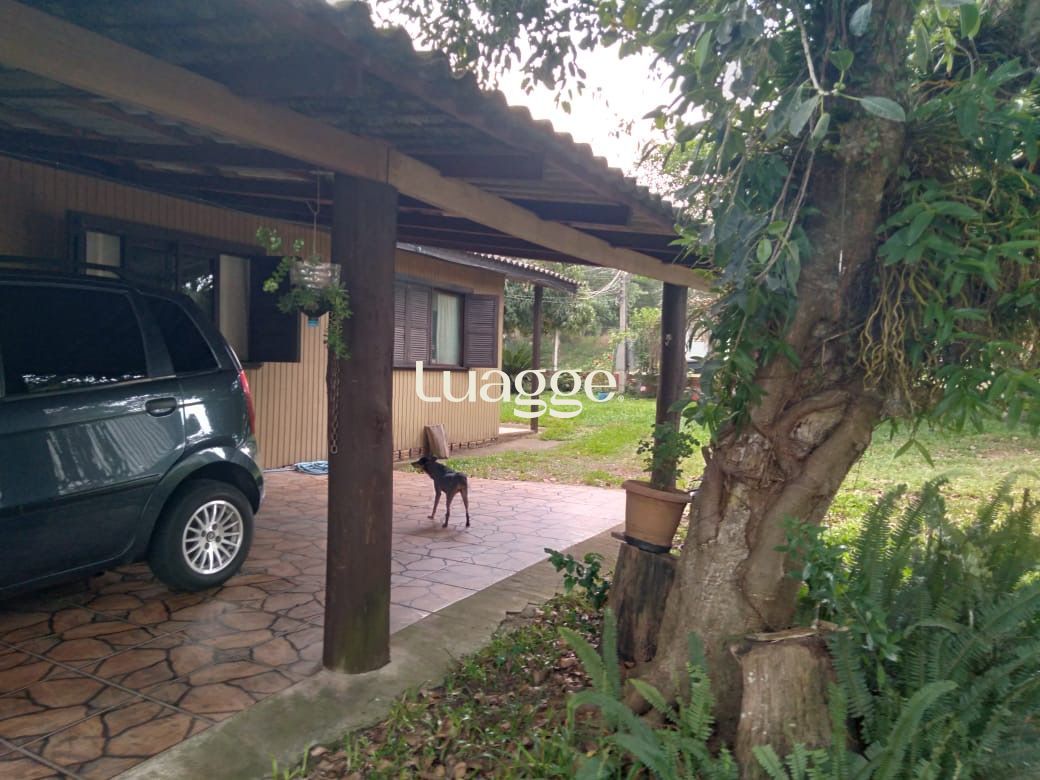 Sítio à venda com 3 quartos, 3162m² - Foto 3