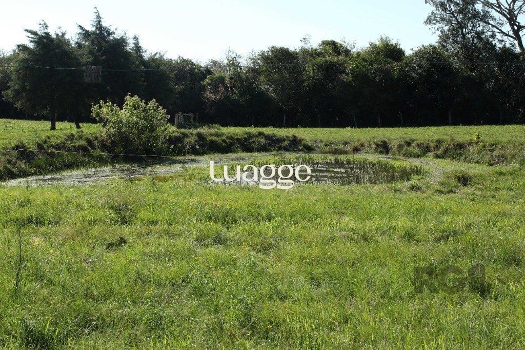 Terreno à venda, 201018m² - Foto 14