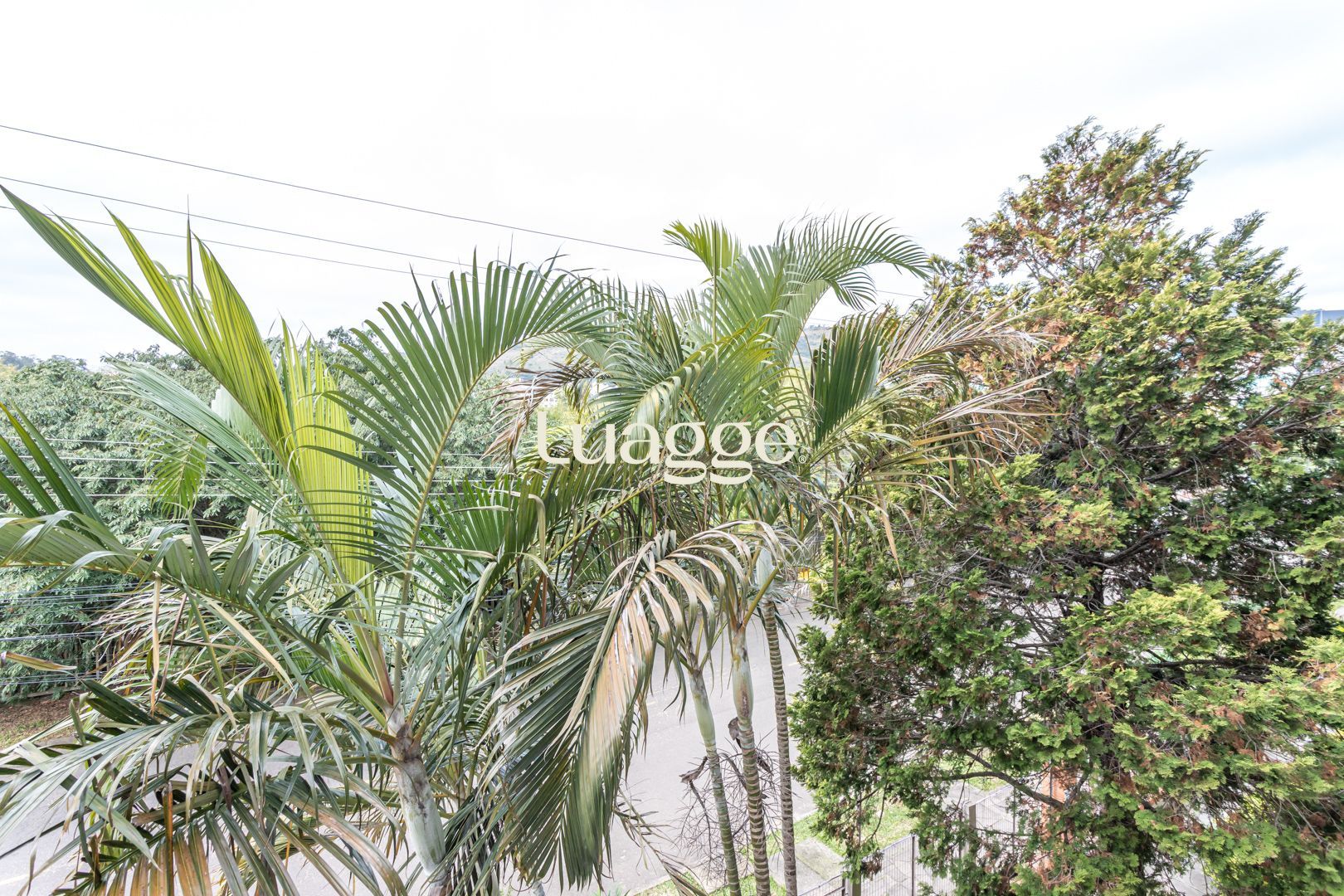 Apartamento, 1 quarto, 61 m² - Foto 13